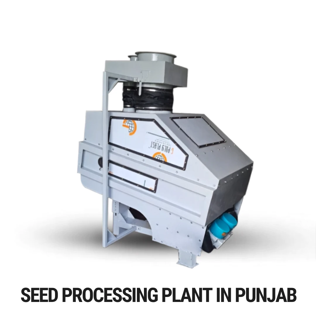 Seed Processing Plant in Punjab