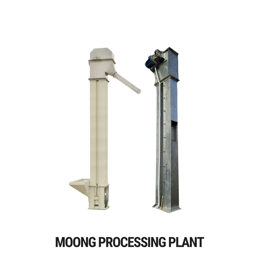 Moong Processing Plant